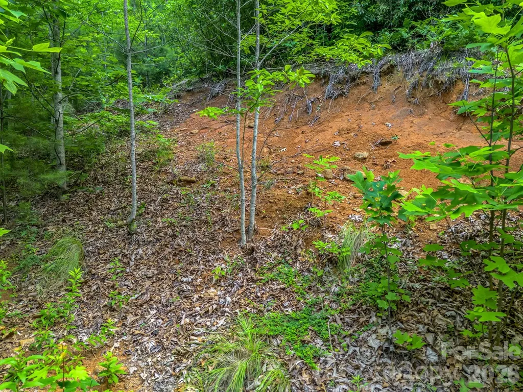 263 Parkway View Lane Penrose NC 28766