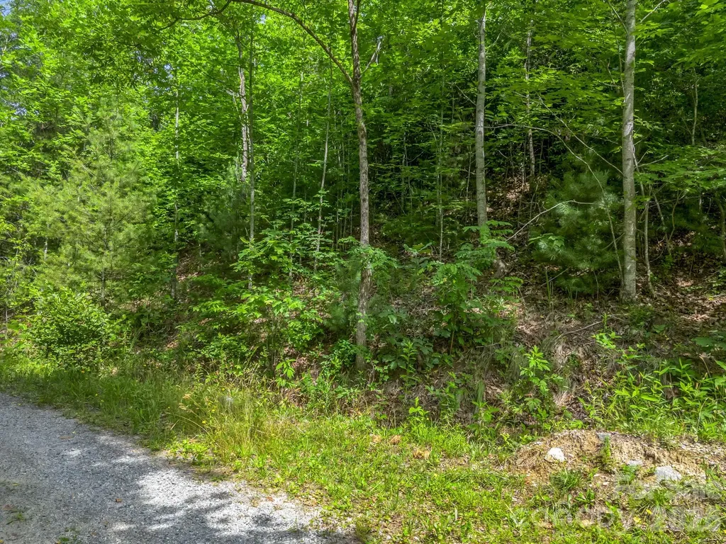 263 Parkway View Lane Penrose NC 28766