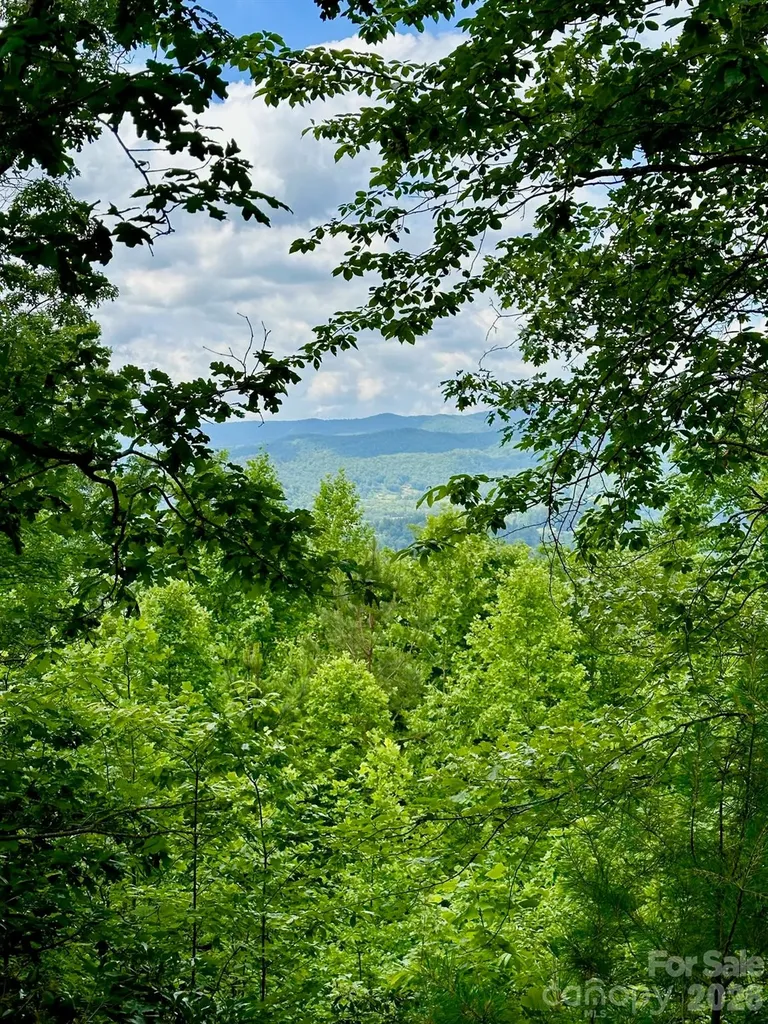 263 Parkway View Lane Penrose NC 28766