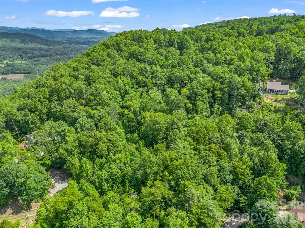 263 Parkway View Lane Penrose NC 28766