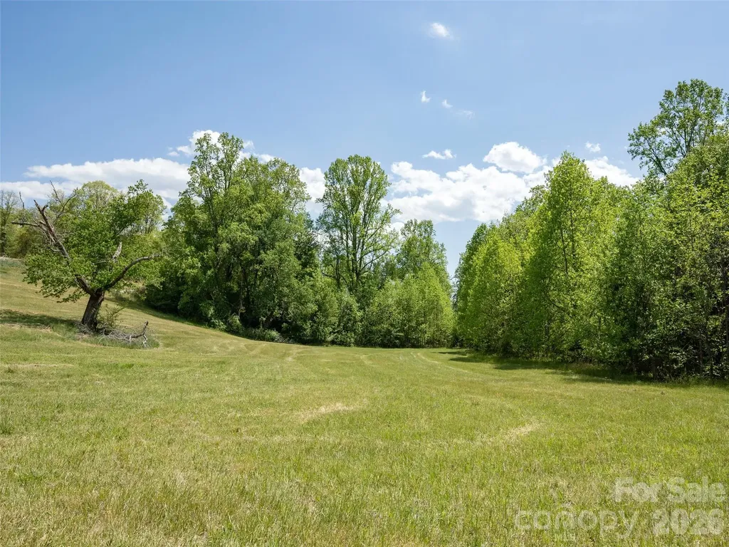 154 High Pasture Trail Mills River NC 28759