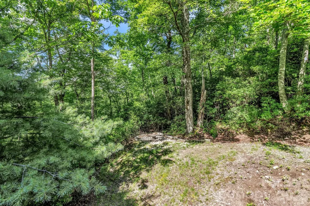571 Tsisqua Circle Brevard NC 28712