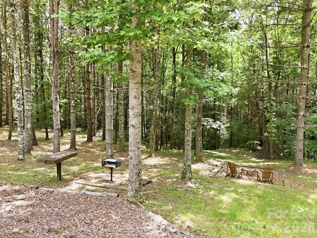15 Trillium Trail Nebo NC 28761