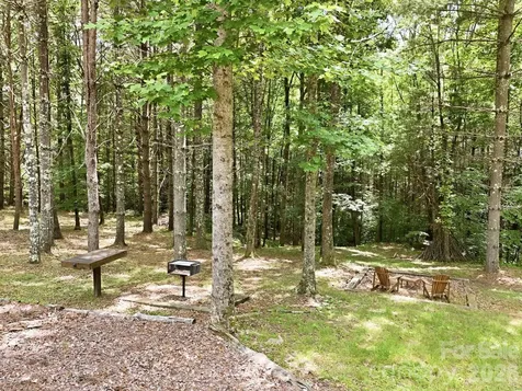 15 Trillium Trail Nebo NC 28761