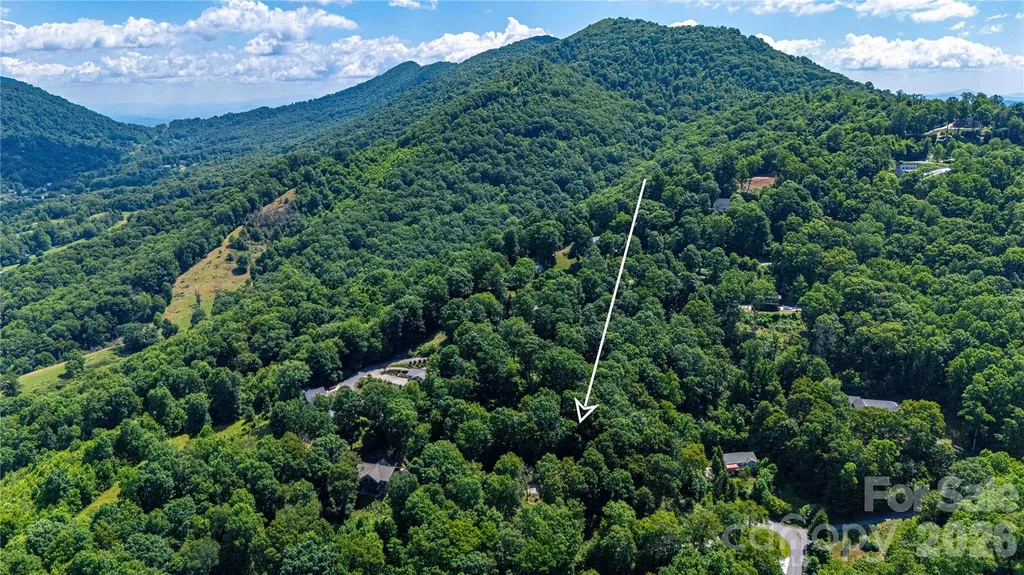 142 Blake Drive Canton NC 28716