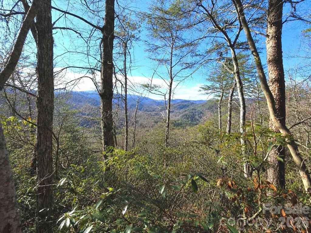 81 Lucerne Drive Canton NC 28716