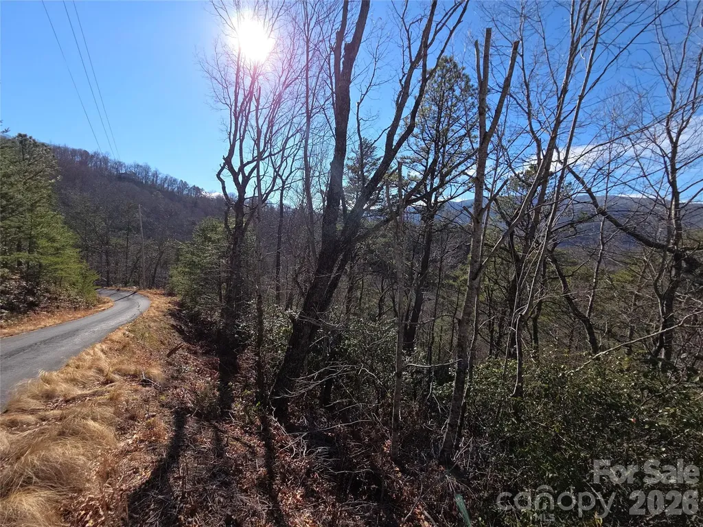 81 Lucerne Drive Canton NC 28716