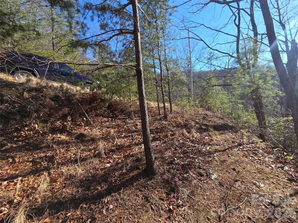 81 Lucerne Drive Canton NC 28716