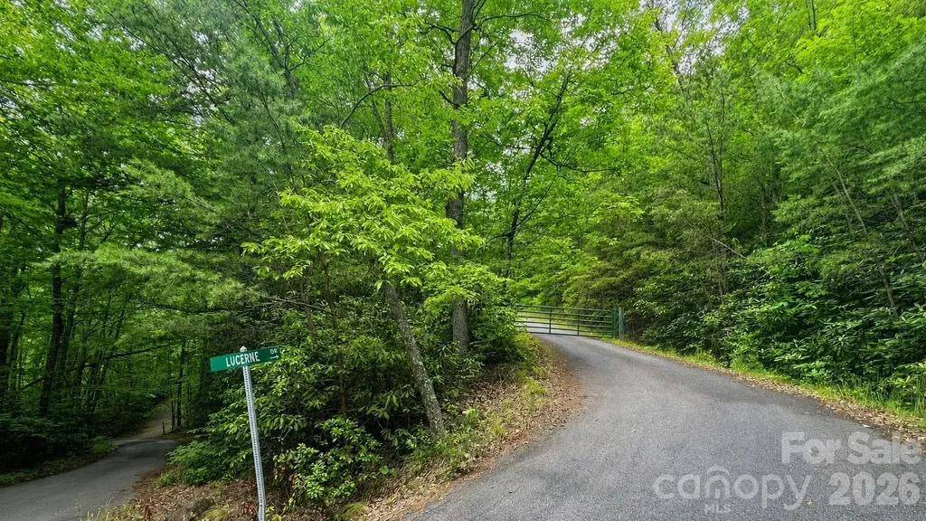 81 Lucerne Drive Canton NC 28716