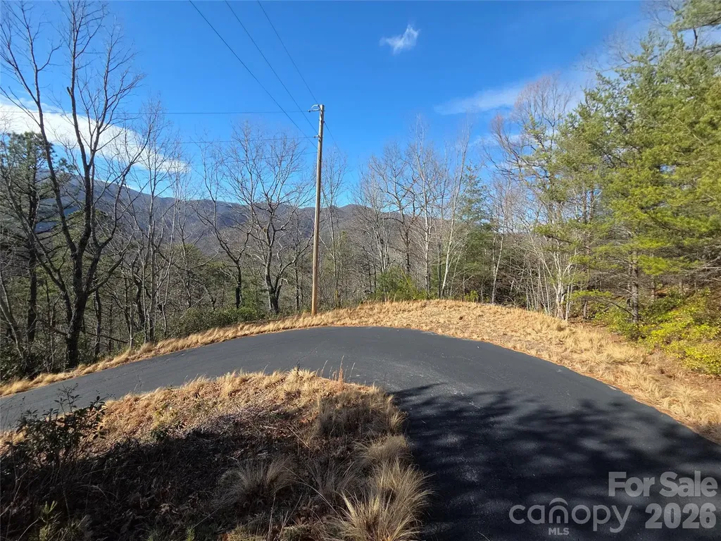 81 Lucerne Drive Canton NC 28716