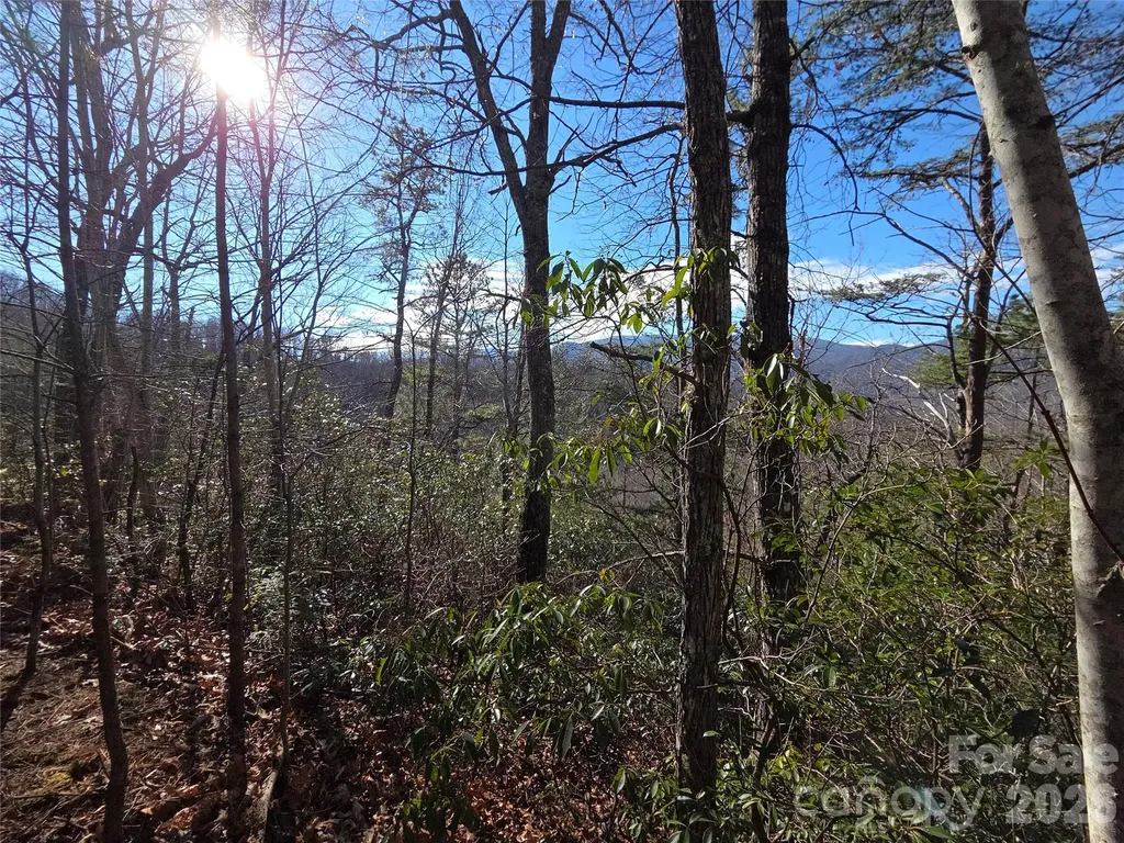 81 Lucerne Drive Canton NC 28716
