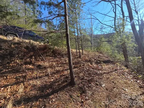 81 Lucerne Drive Canton NC 28716