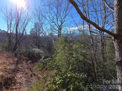 81 Lucerne Drive Canton NC 28716