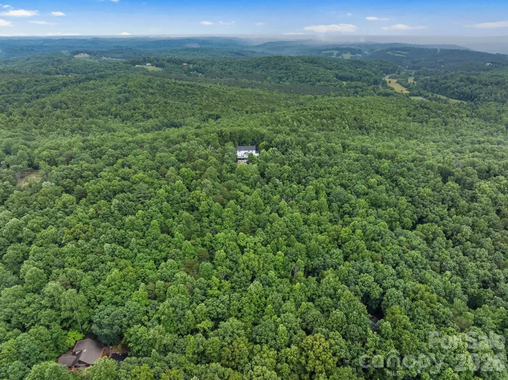 295 Wilderness Ridge Rutherfordton NC 28139