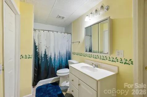295 Wilderness Ridge Rutherfordton NC 28139