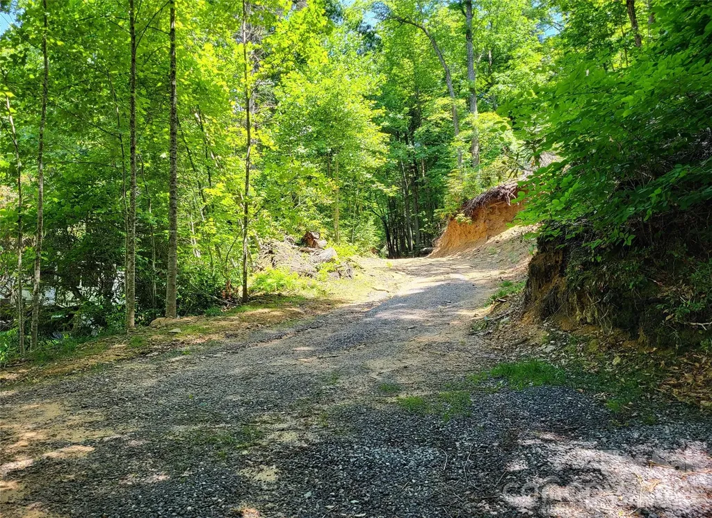 51 Bird Creek Estates Road Black Mountain NC 28711