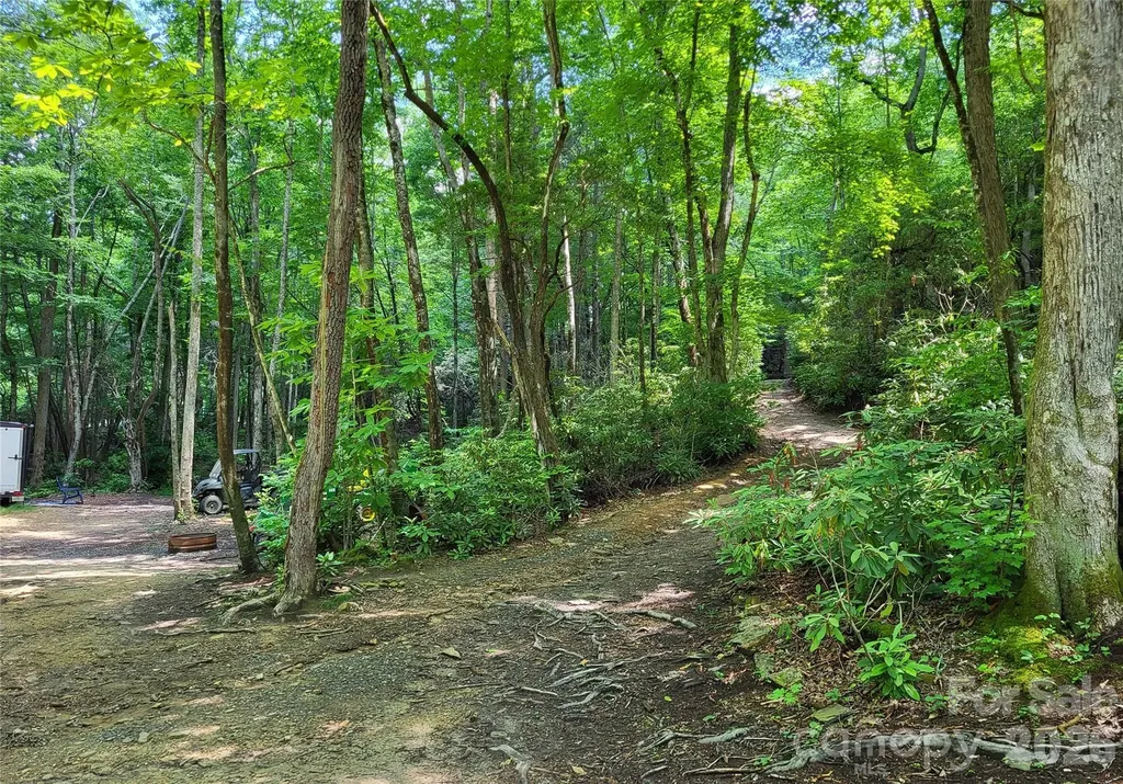 51 Bird Creek Estates Road Black Mountain NC 28711