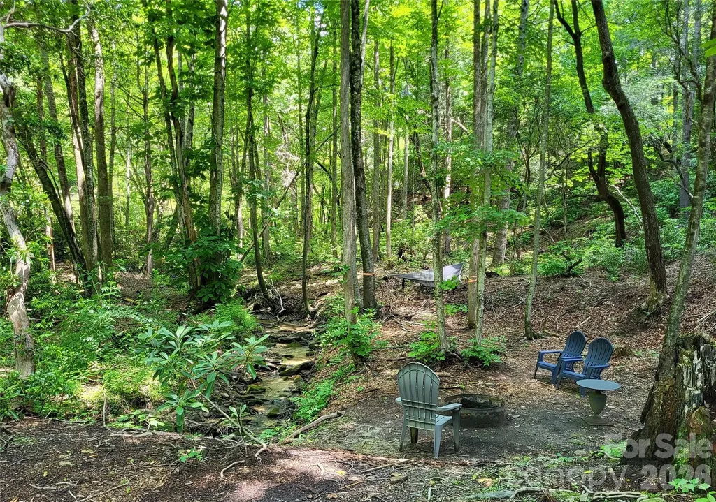 51 Bird Creek Estates Road Black Mountain NC 28711