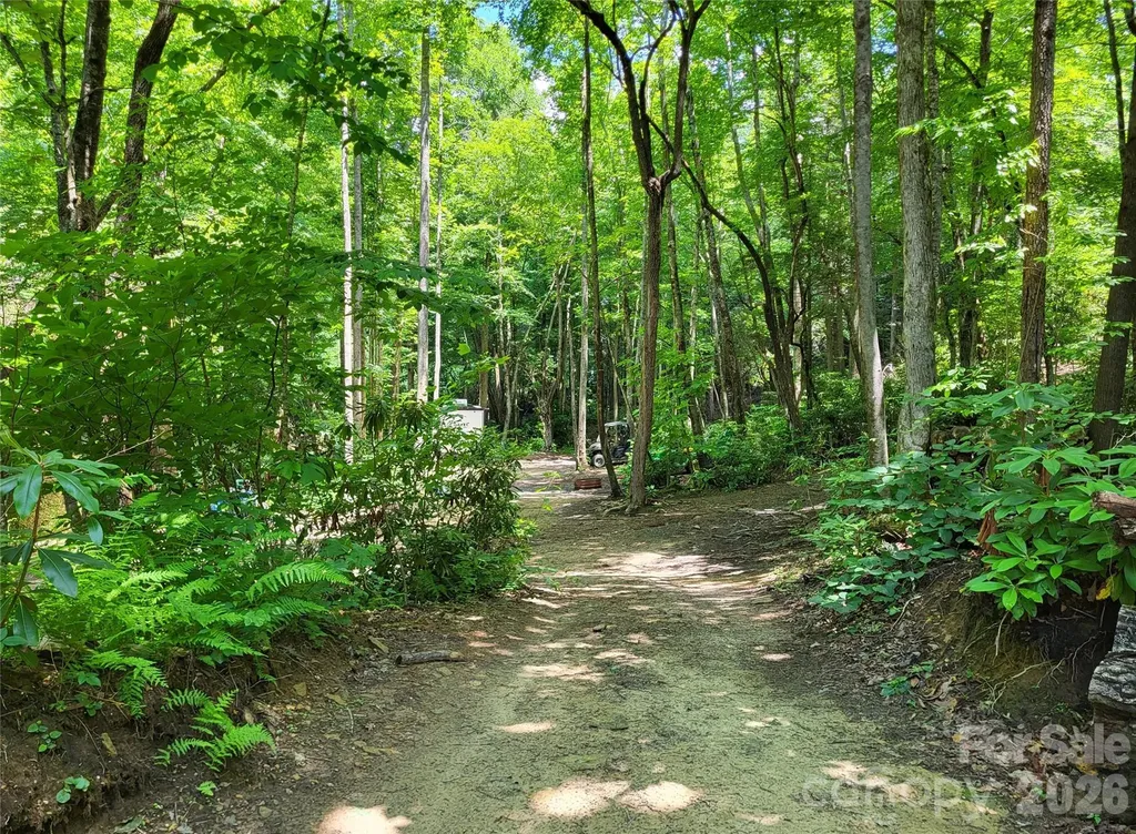 51 Bird Creek Estates Road Black Mountain NC 28711