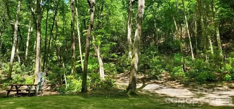 51 Bird Creek Estates Road Black Mountain NC 28711