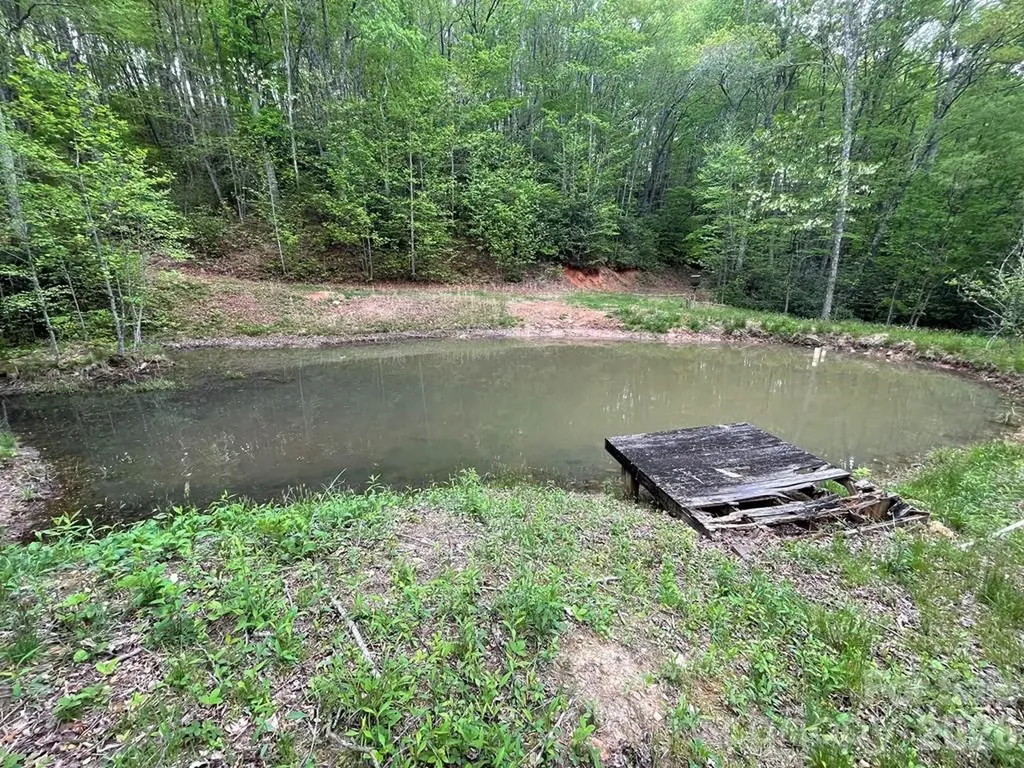 930 Copperhead Cove Sylva NC 28779