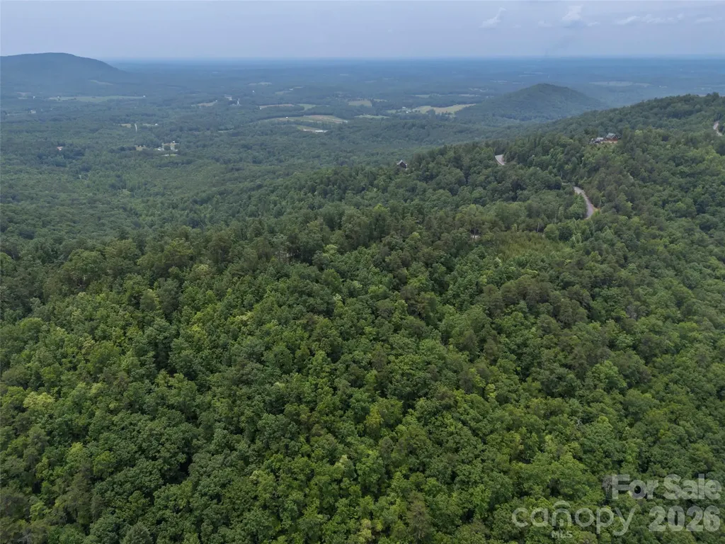 228 Brighton Drive Bostic NC 28018