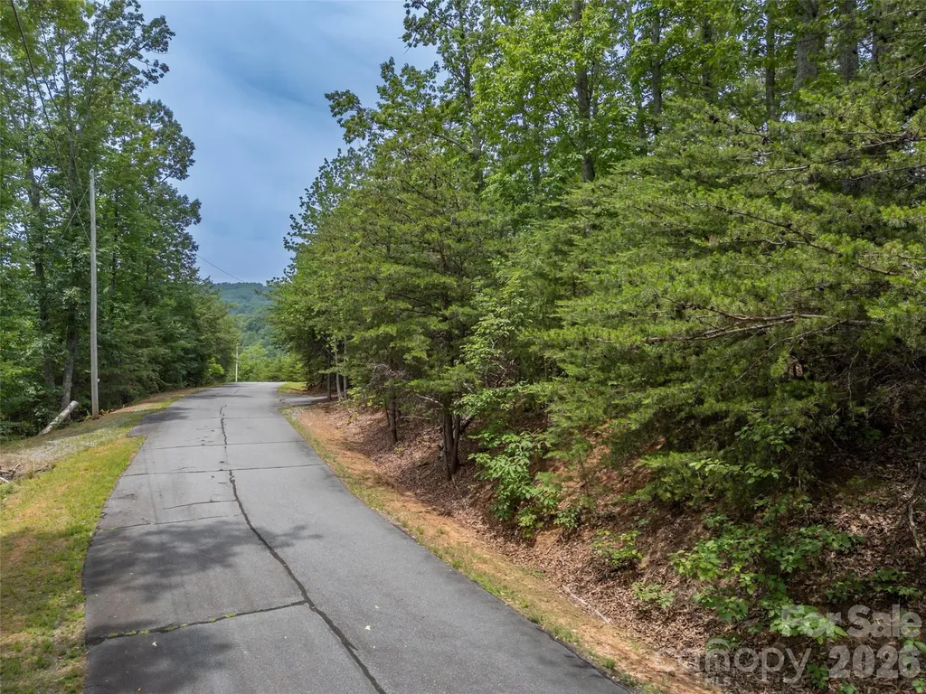 228 Brighton Drive Bostic NC 28018