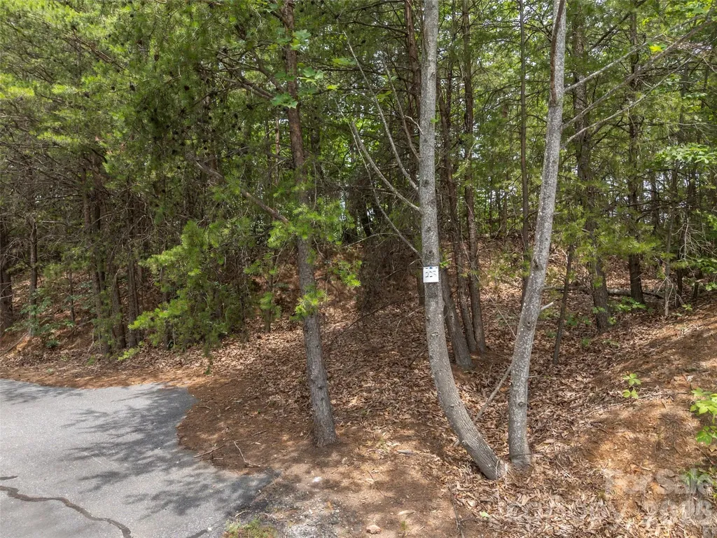 228 Brighton Drive Bostic NC 28018