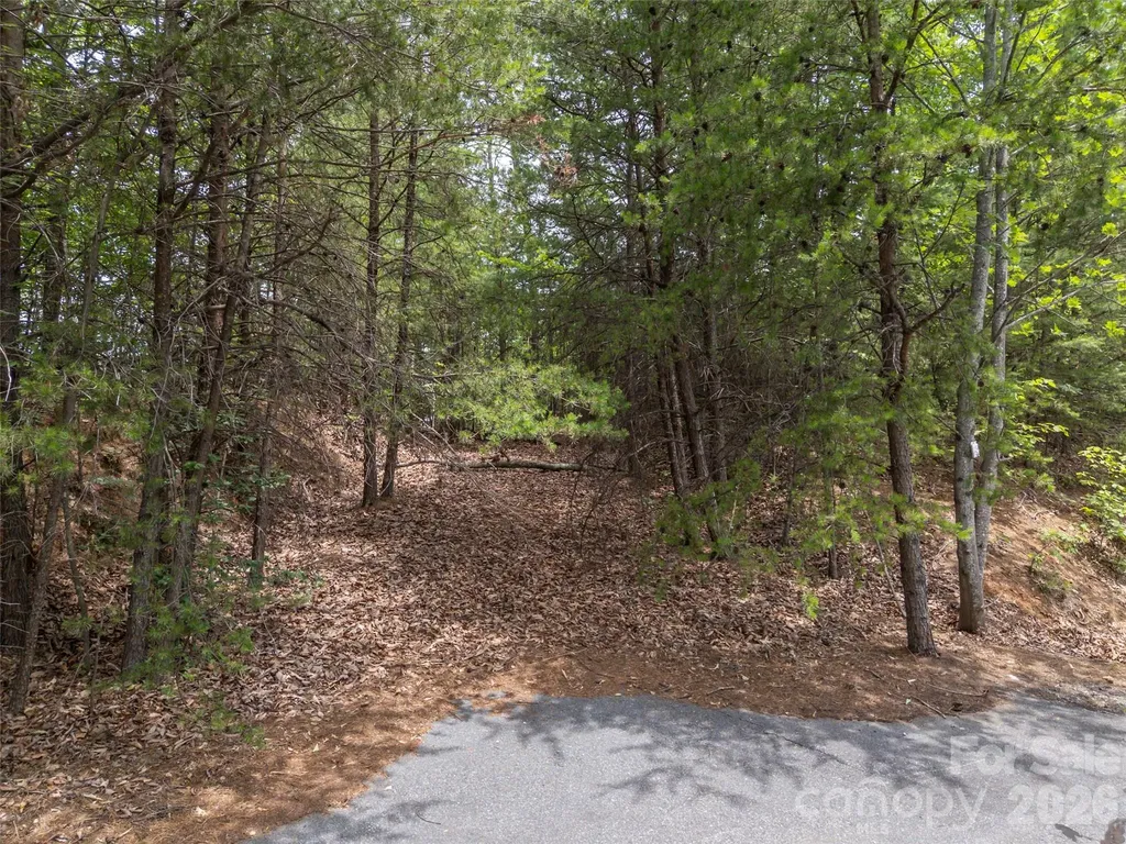 228 Brighton Drive Bostic NC 28018