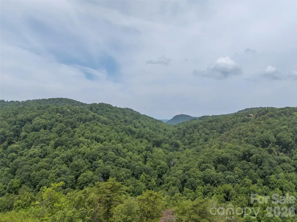 228 Brighton Drive Bostic NC 28018