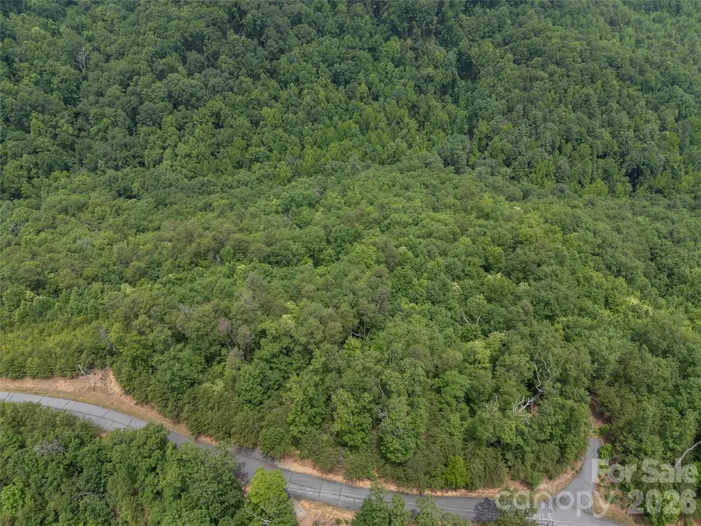 228 Brighton Drive Bostic NC 28018