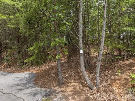 228 Brighton Drive Bostic NC 28018