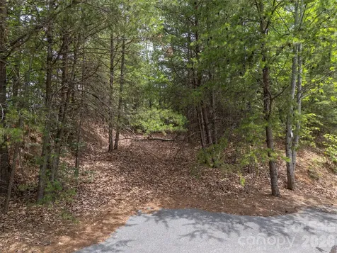 228 Brighton Drive Bostic NC 28018