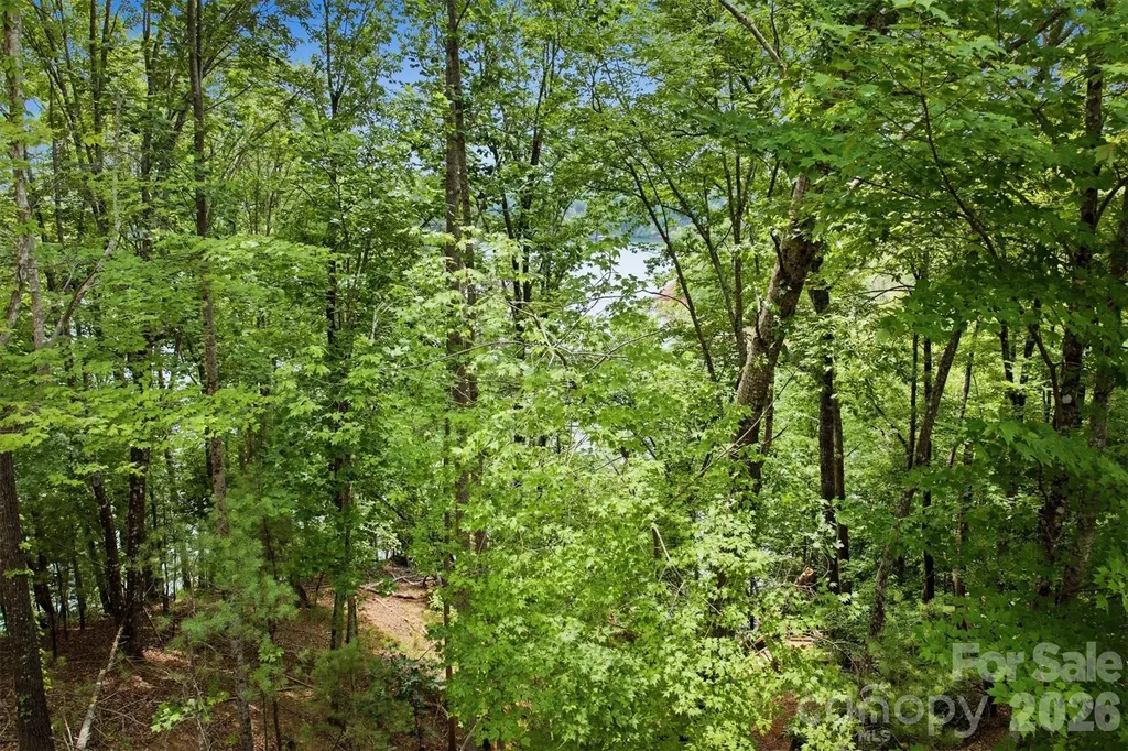 311 Crest View Drive S Nebo NC 28761