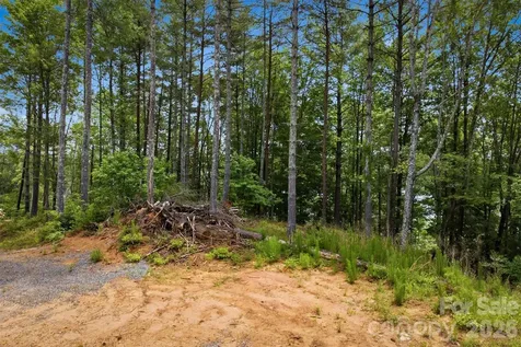 311 Crest View Drive S Nebo NC 28761