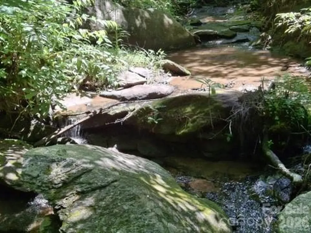 630 Shumont Road Black Mountain NC 28711