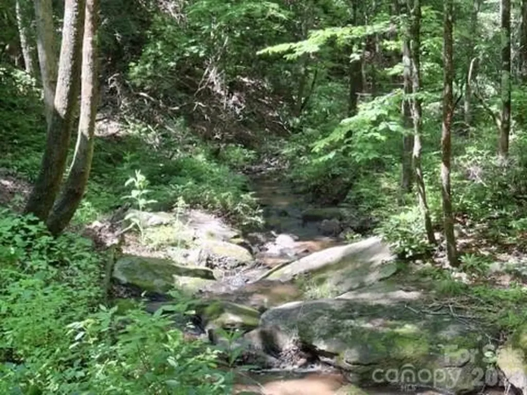 630 Shumont Road Black Mountain NC 28711