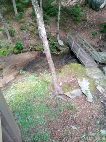 630 Shumont Road Black Mountain NC 28711