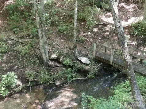 630 Shumont Road Black Mountain NC 28711