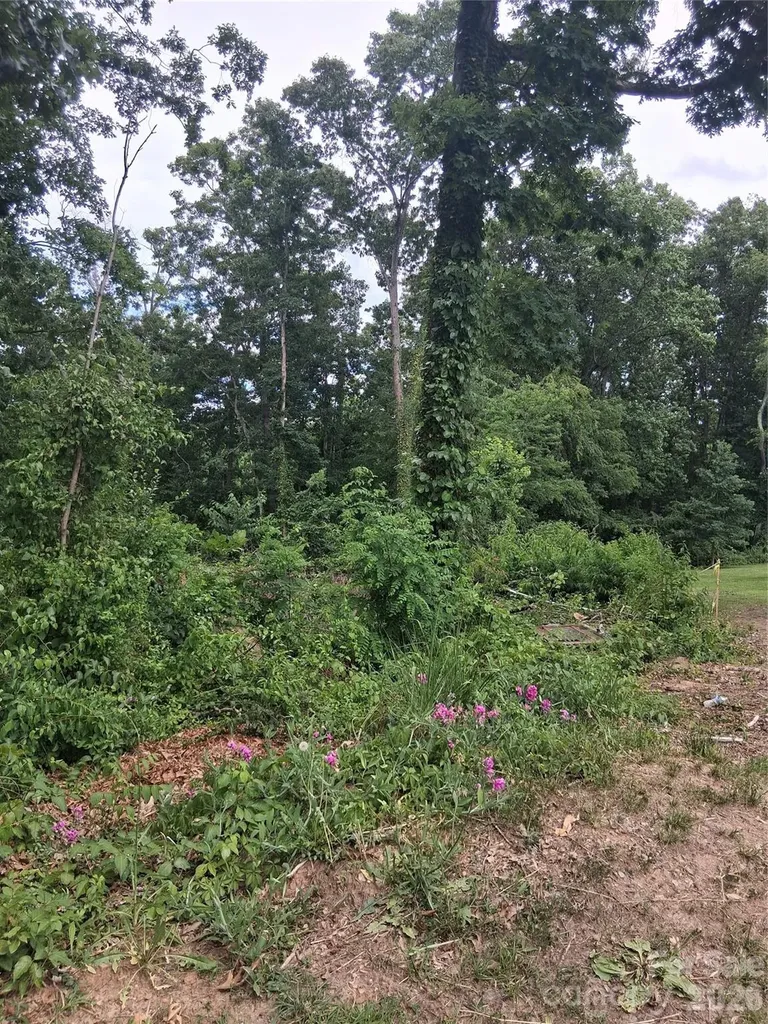 25 Oak Hill Drive Asheville NC 28806