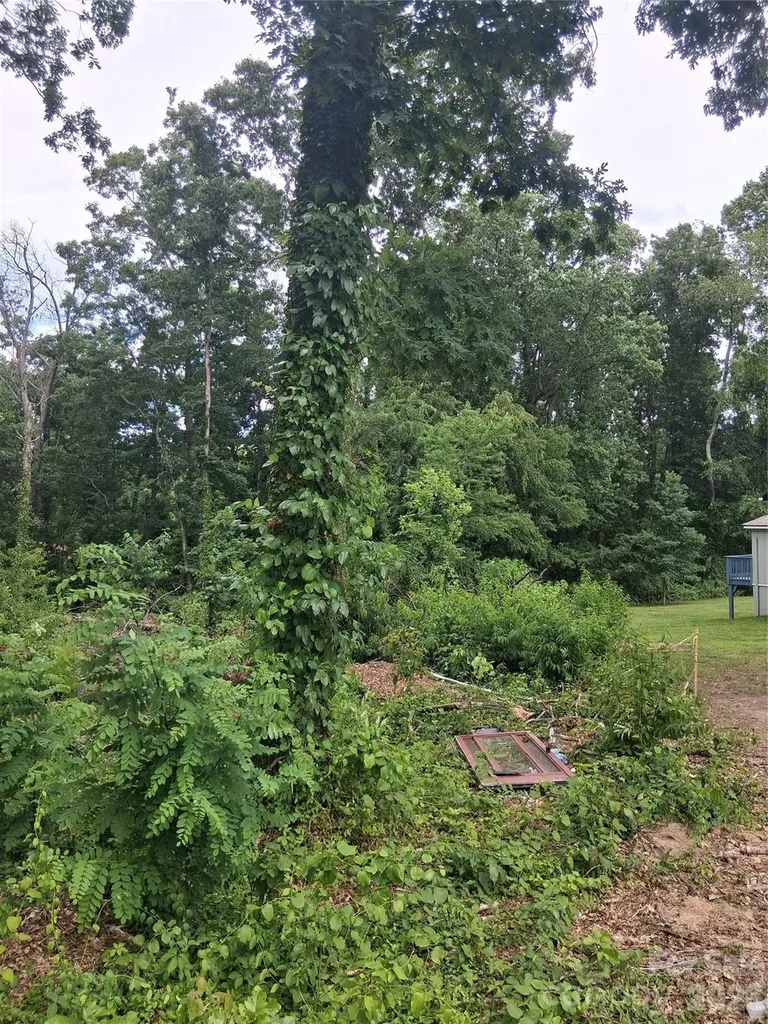 25 Oak Hill Drive Asheville NC 28806