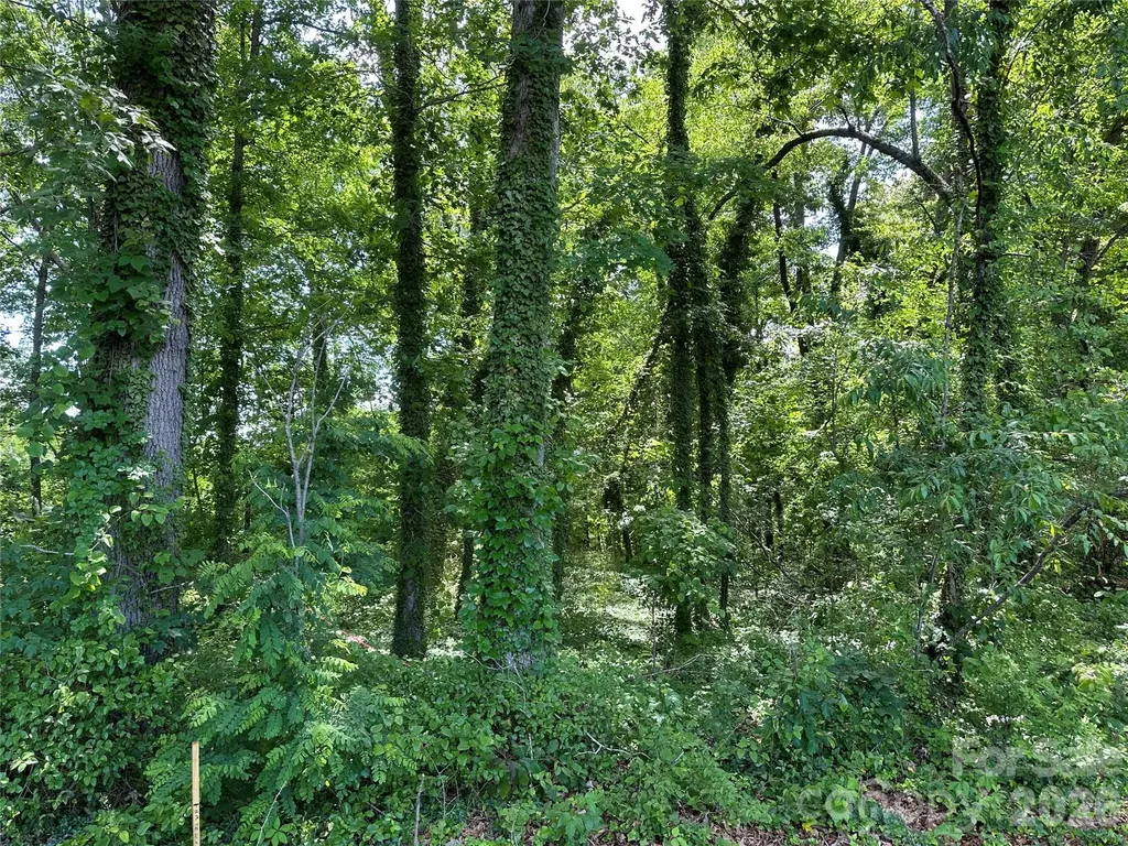 25 Oak Hill Drive Asheville NC 28806