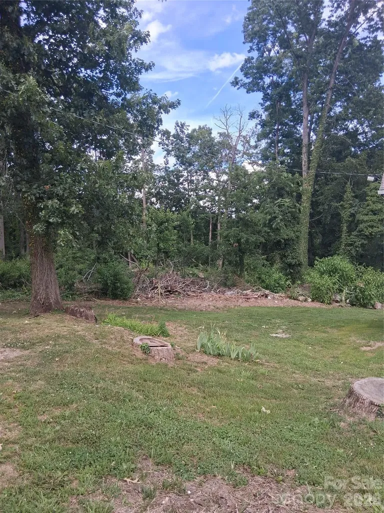 25 Oak Hill Drive Asheville NC 28806
