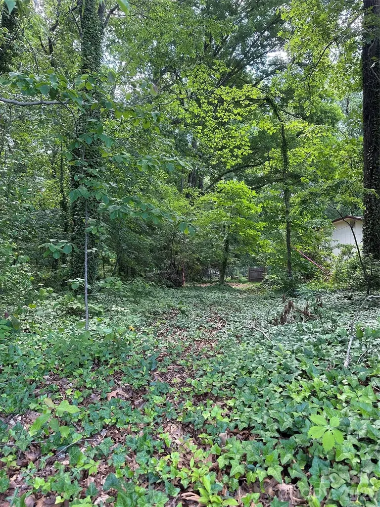 25 Oak Hill Drive Asheville NC 28806