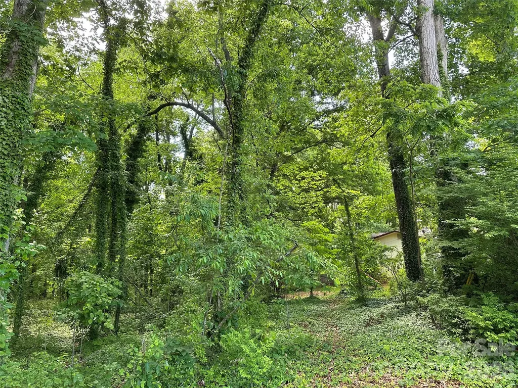 25 Oak Hill Drive Asheville NC 28806