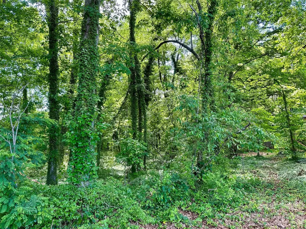 25 Oak Hill Drive Asheville NC 28806