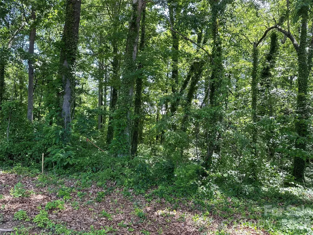 25 Oak Hill Drive Asheville NC 28806
