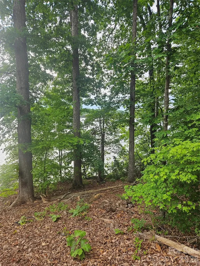 Lot 105 Edgewater Drive Norwood NC 28128