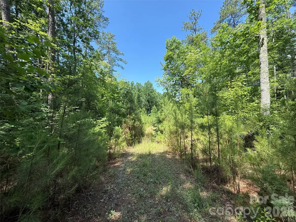 206 Corry Lane Bostic NC 28018