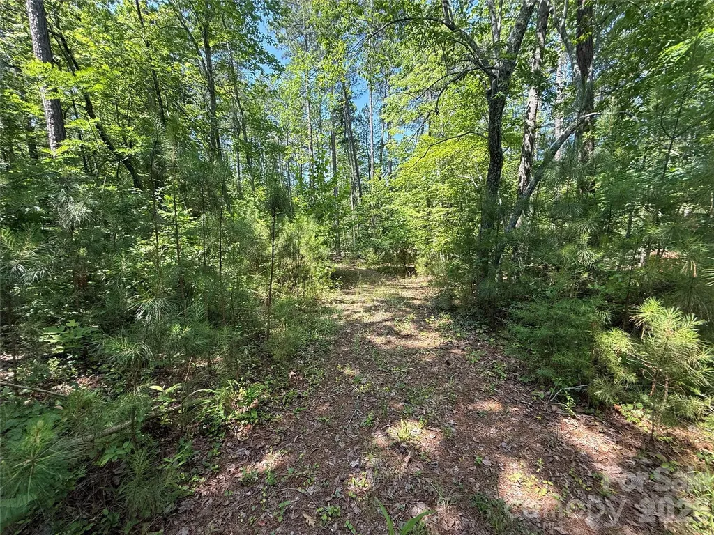206 Corry Lane Bostic NC 28018